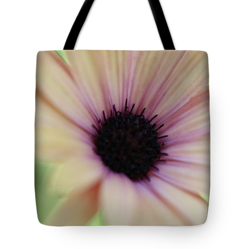 Flower Tote Bag featuring the photograph Softly Spoken by Mary Anne Delgado