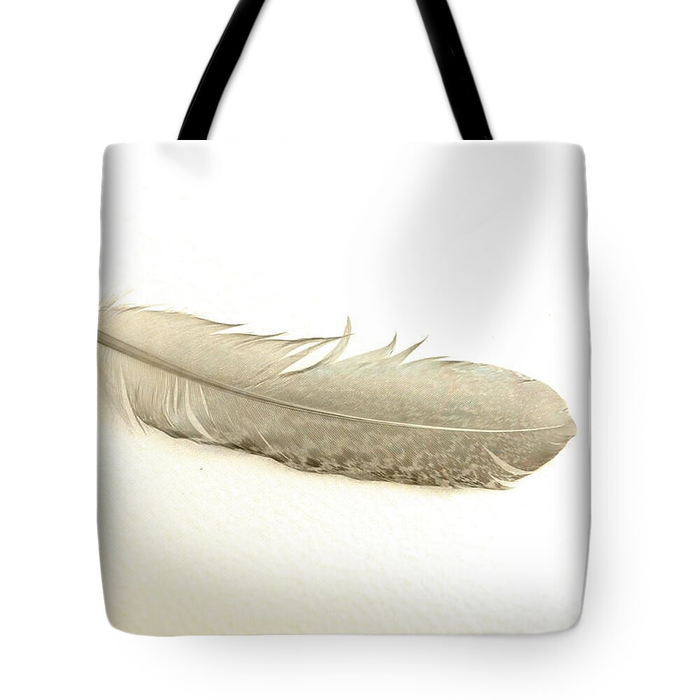 Feather Series Tote Bag featuring the photograph Softness of a Feather by Randi Grace Nilsberg