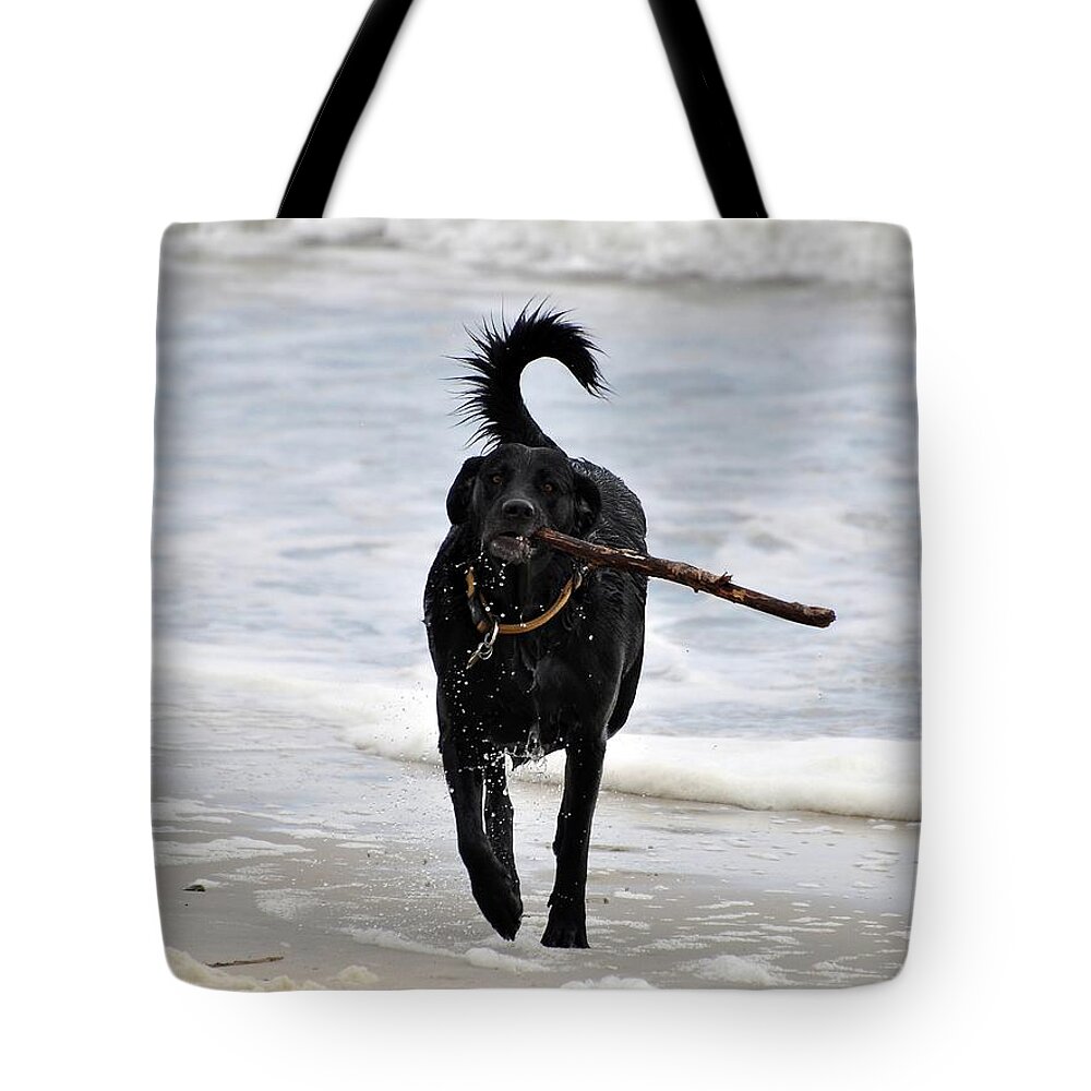 Dog Tote Bag featuring the photograph Soggy Stick by Al Powell Photography USA