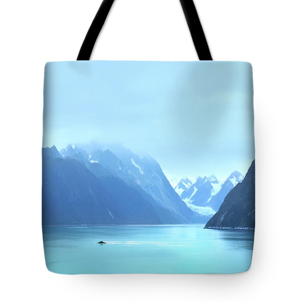 Humpback At Glacier Bay Tote Bag featuring the photograph Sojourn by John Poon