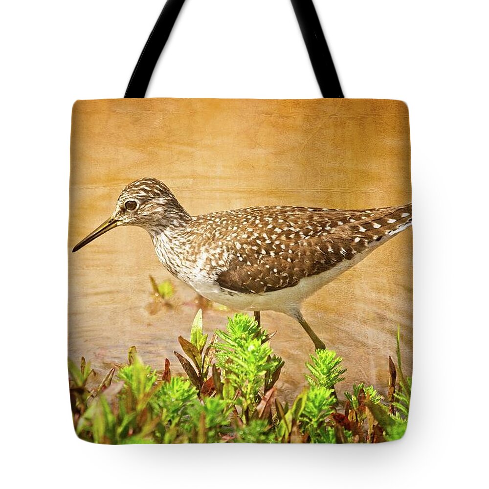 Solitaire Tote Bag featuring the photograph Solitaire Sandpiper by Sandra Burm