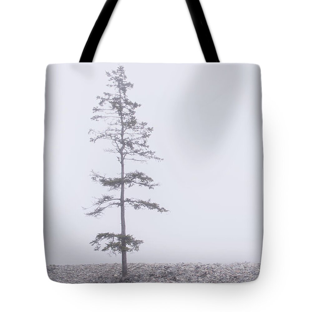 Tree Tote Bag featuring the photograph Solitary by Holly Ross