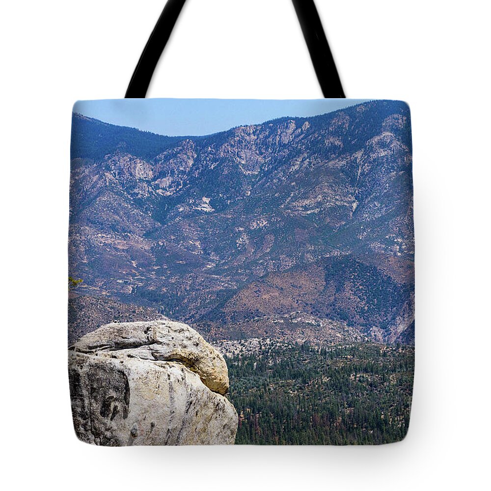 August 2017 Tote Bag featuring the photograph Solitary Pine on Promontory by Jeff Hubbard