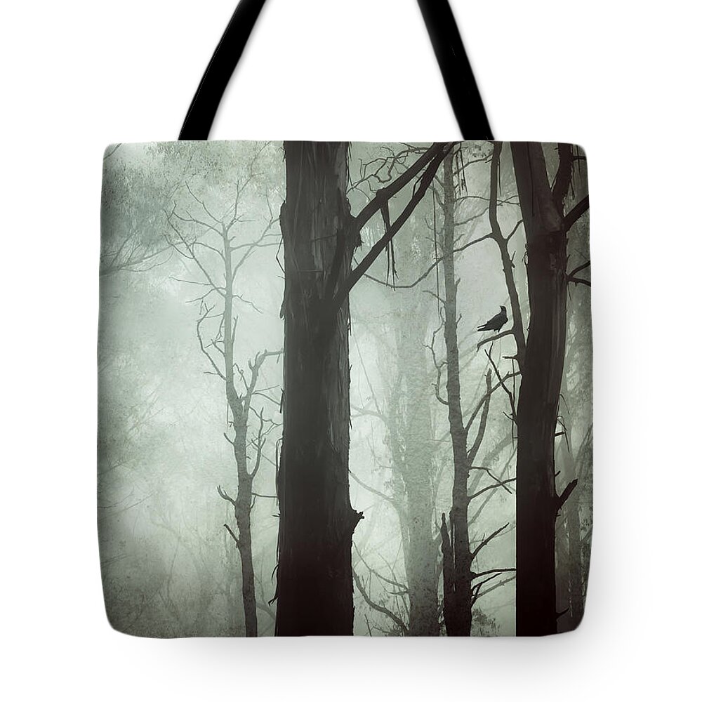 Fog Tote Bag featuring the photograph Solitude by Amy Weiss