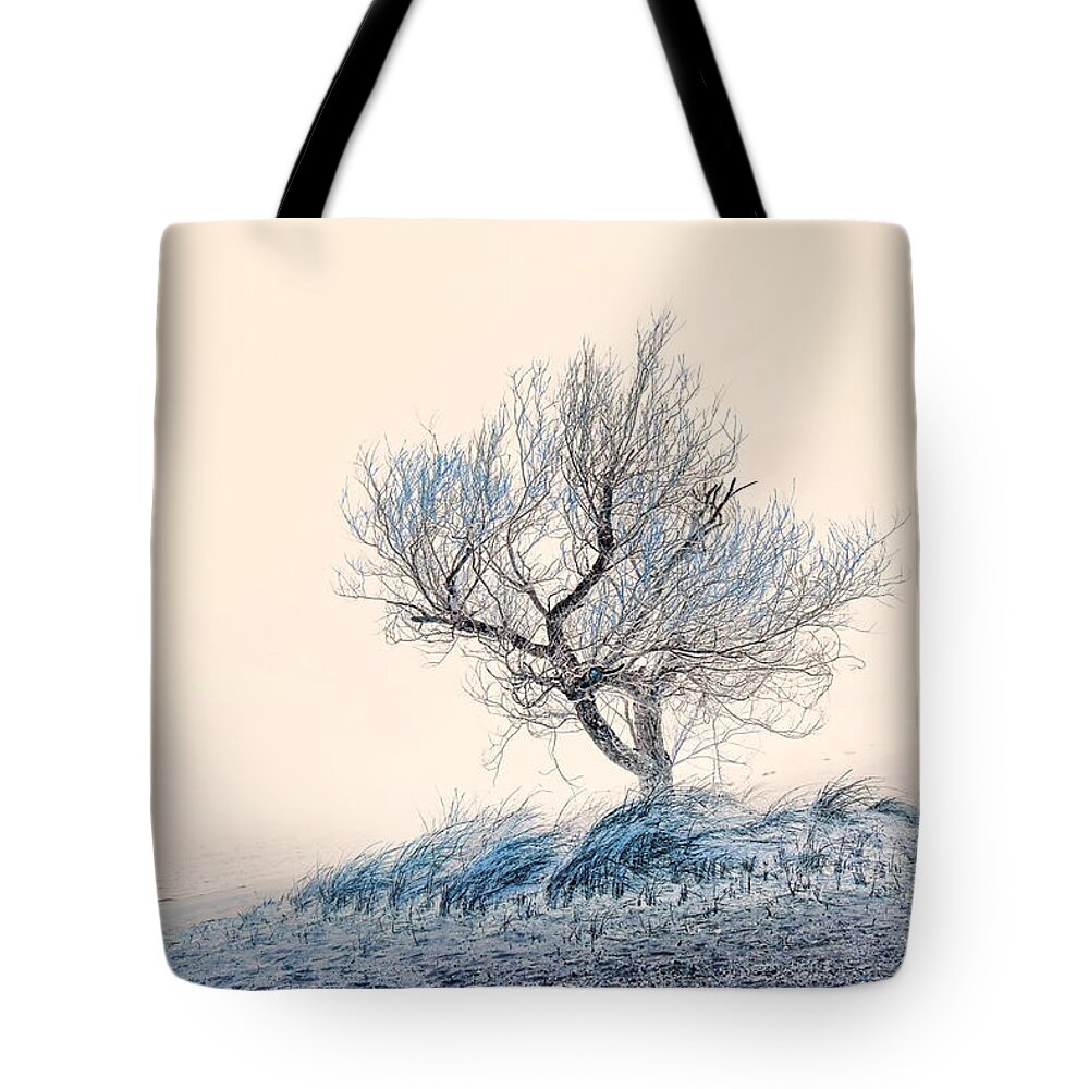 Trees Tote Bag featuring the photograph Solitude by Mary Clough