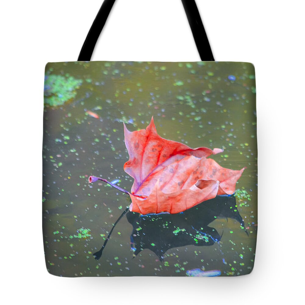 C&o Tote Bag featuring the photograph Solo Floating Red Leaf by Jeff at JSJ Photography