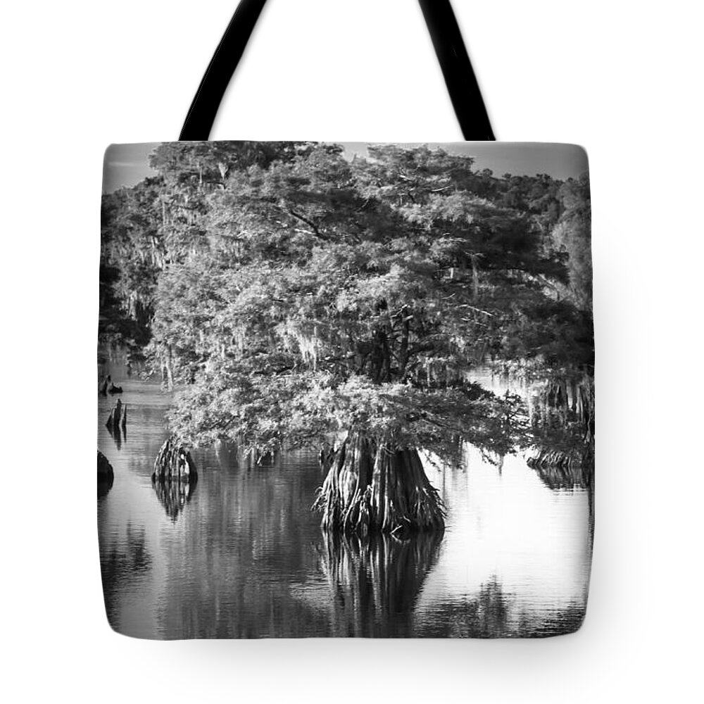 Dead Lakes Tote Bag featuring the photograph Solo Tree Dead Lakes Black and White by Debra Forand
