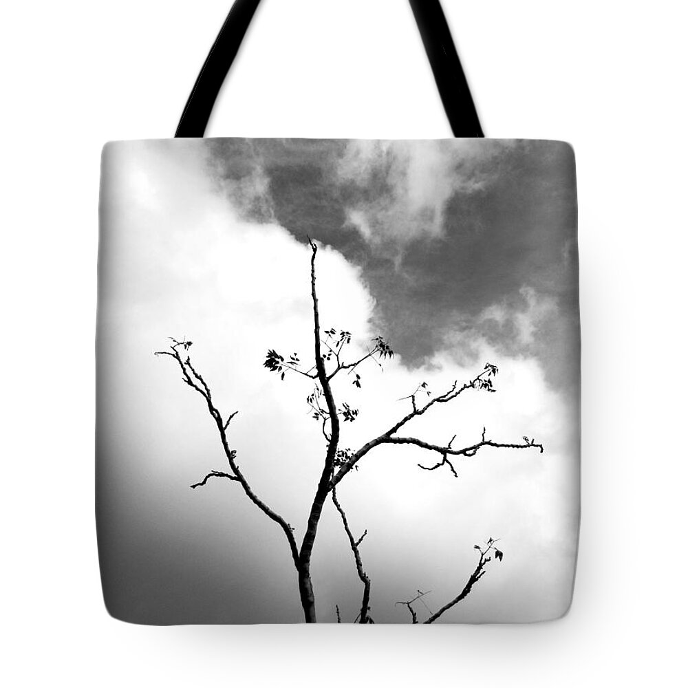 Landscape Tote Bag featuring the photograph Solstice Dance #3 by Kathleen Grace