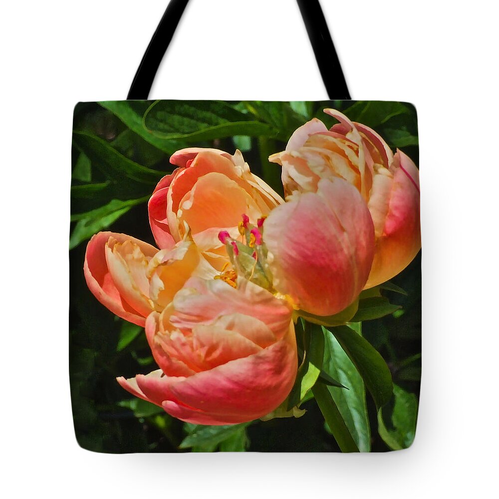 Peony Tote Bag featuring the photograph Solstice Peony by Janis Senungetuk