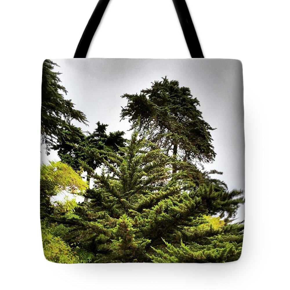 Love Tote Bag featuring the photograph Some #ancient #wisdom #traditions Of by Gary Sumner