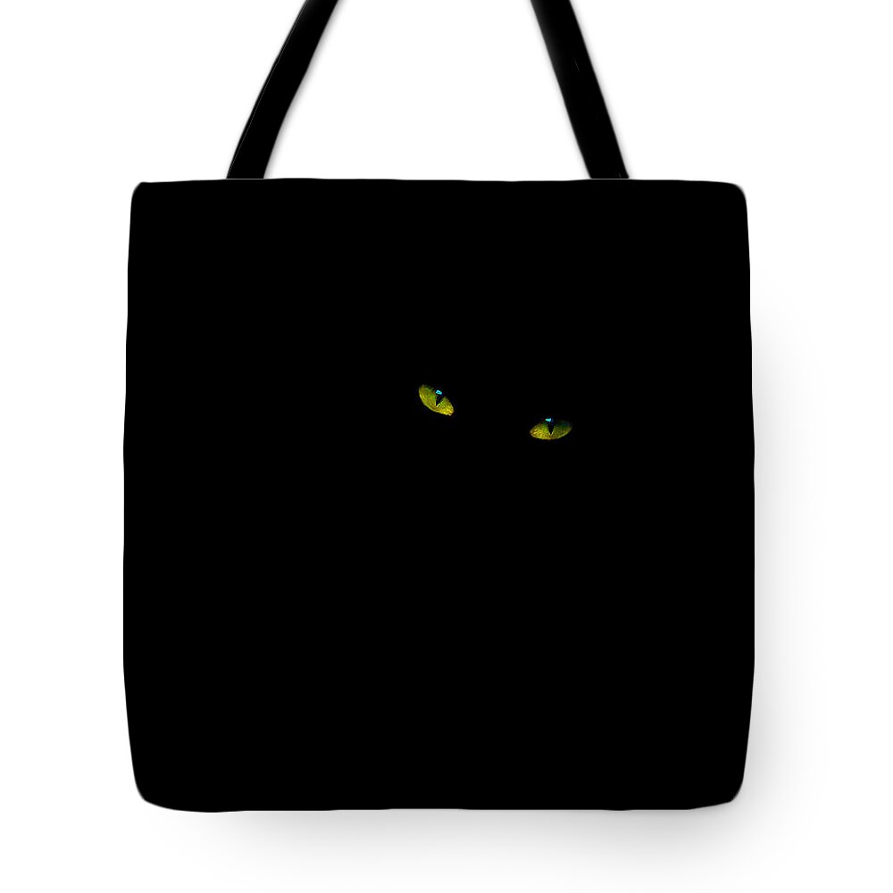 Green Cat Eyes Tote Bag featuring the photograph Somebody's Watching You by Kami McKeon