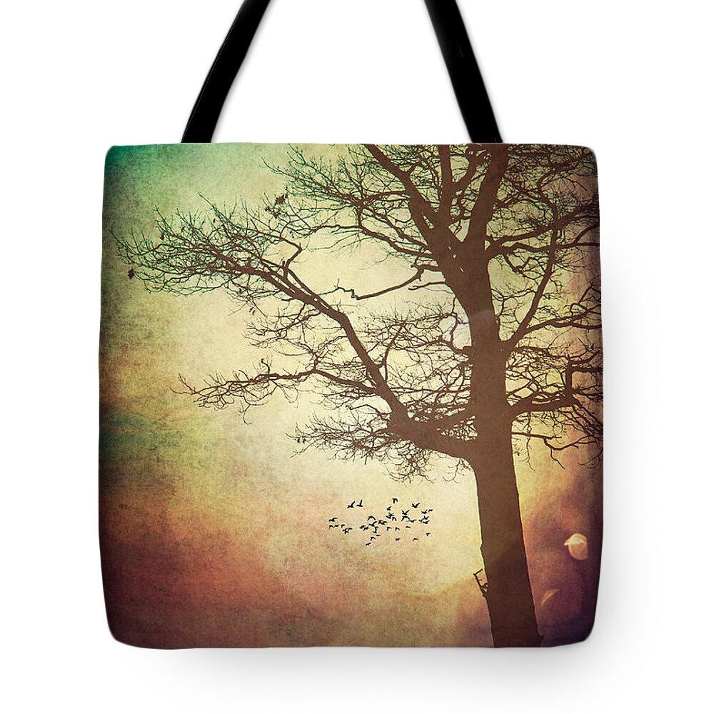 Lake Huron Tote Bag featuring the photograph Somedays by Kristin Hunt