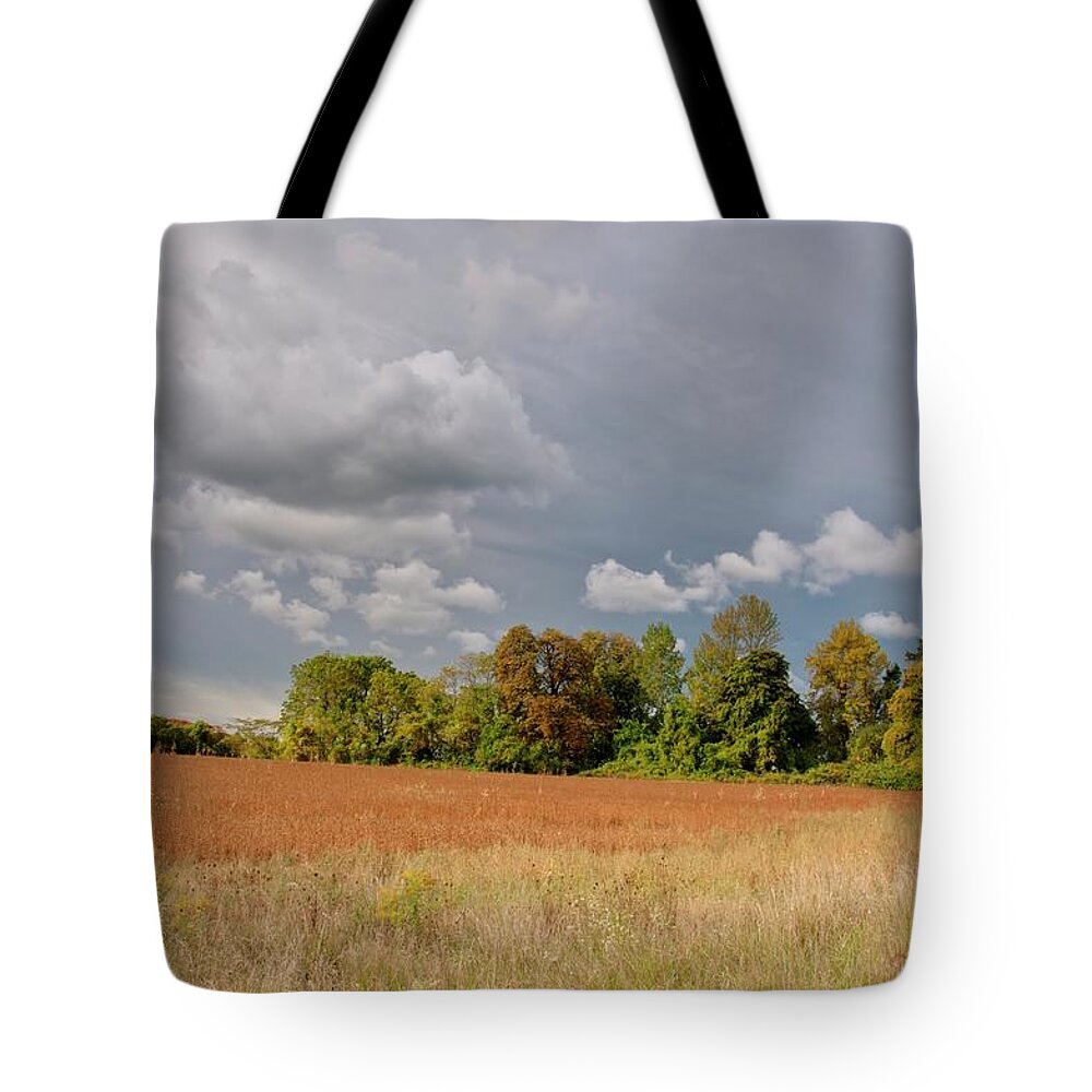 Somerset Ny Tote Bag featuring the photograph Somerset Sky 3069 by Guy Whiteley
