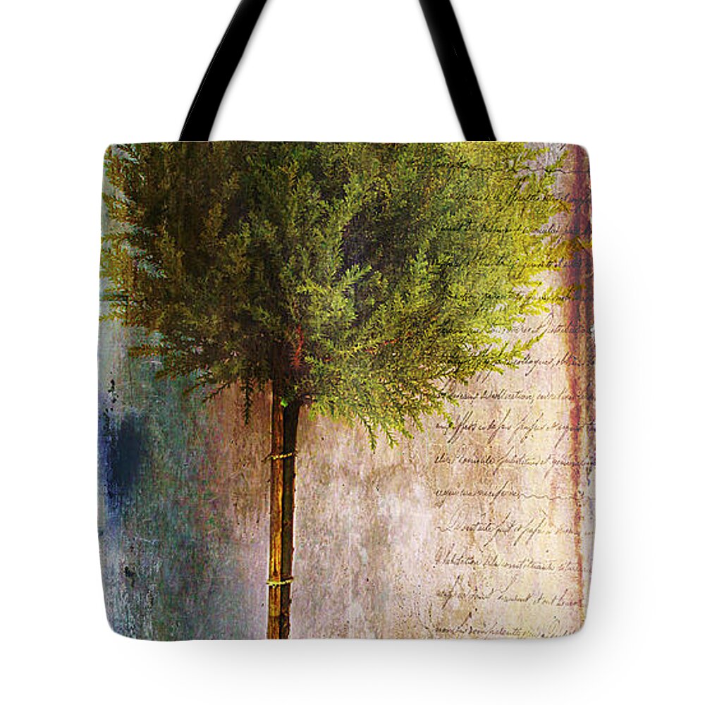 Tree Tote Bag featuring the photograph Something About Saint Laurent by Nina Silver