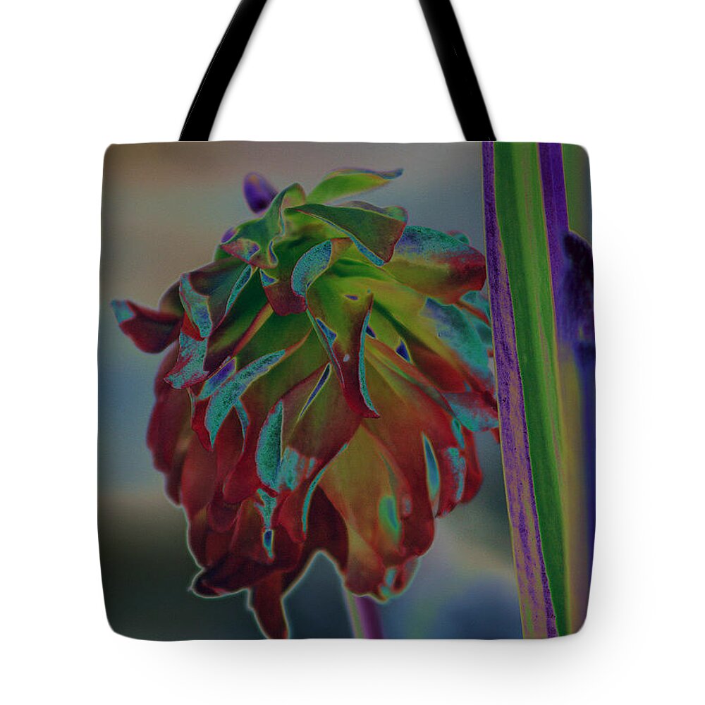 Pitcher Plant Tote Bag featuring the photograph Something Special by DB Hayes
