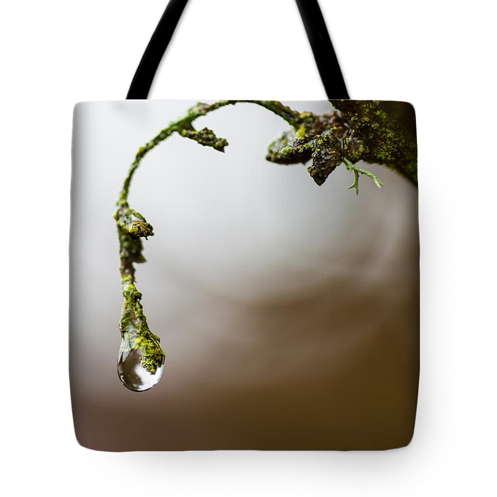 Rain Tote Bag featuring the photograph Sometimes It's Hard To Let Go by Mark Alder