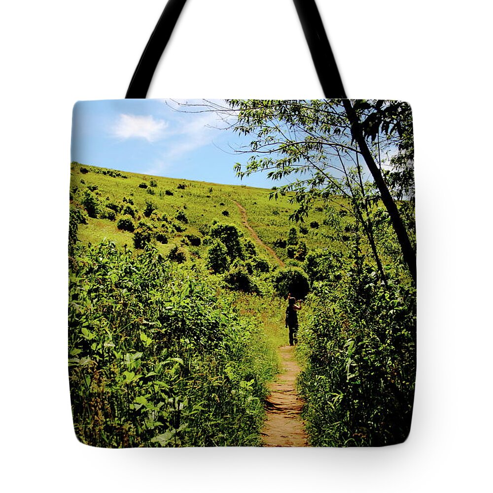 Max Patch Tote Bag featuring the photograph Sometimes We Walk Alone by Allen Nice-Webb