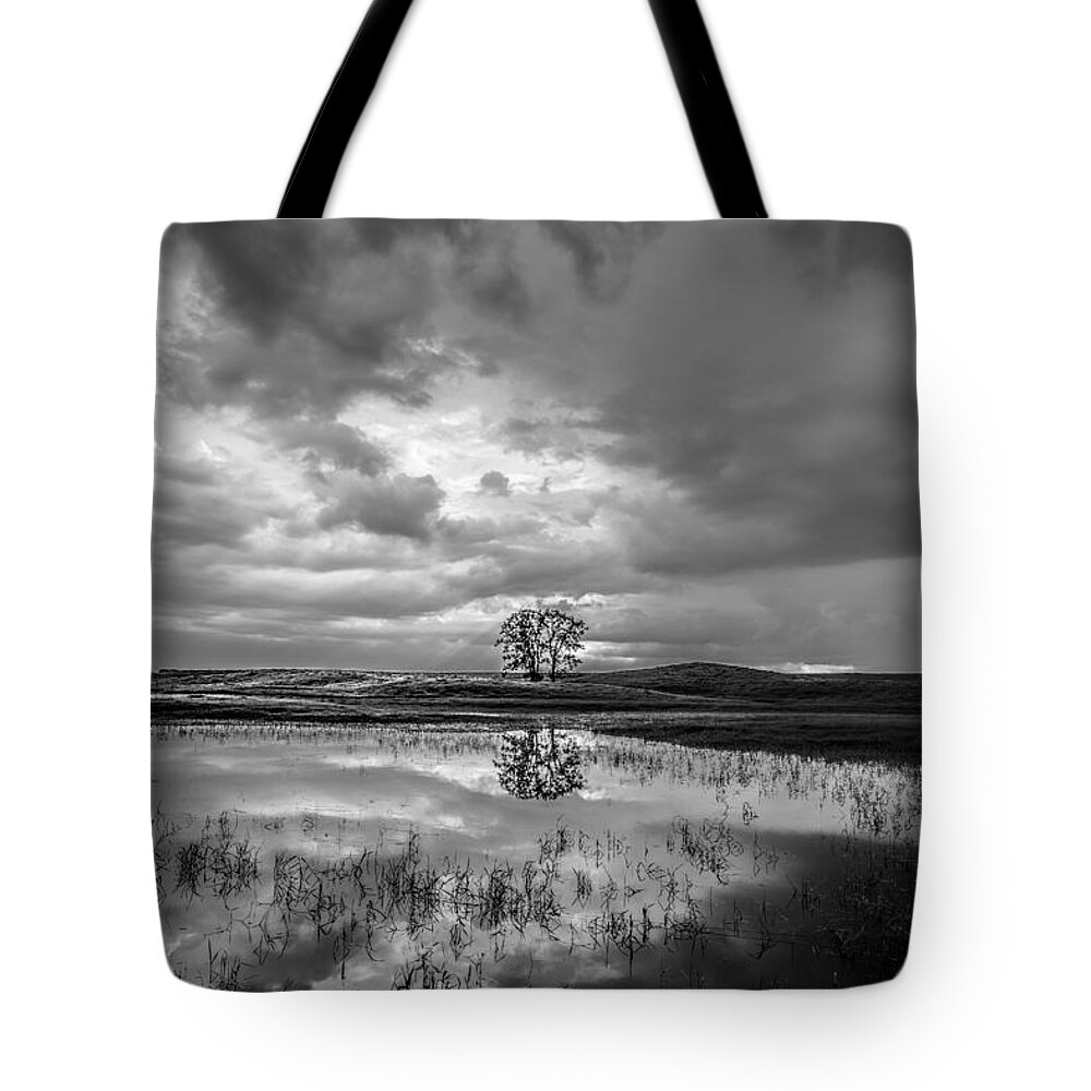 Somewhere In Between Tote Bag featuring the photograph Somewhere In Between by Adam Mateo Fierro