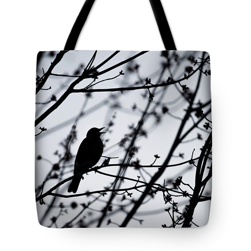 Terry D Photography Tote Bag featuring the photograph Song Bird Silhouette by Terry DeLuco