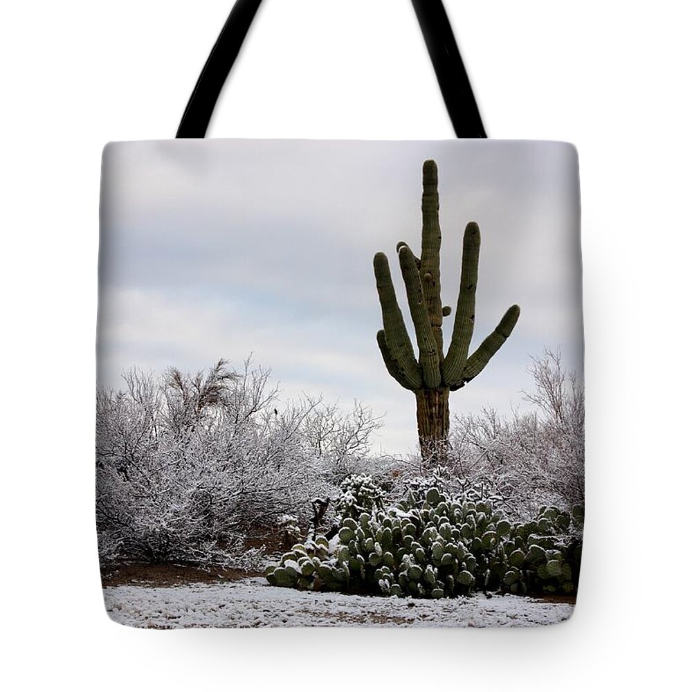 Saguaro Tote Bag featuring the photograph Sonora Desert Winter by Joe Kozlowski