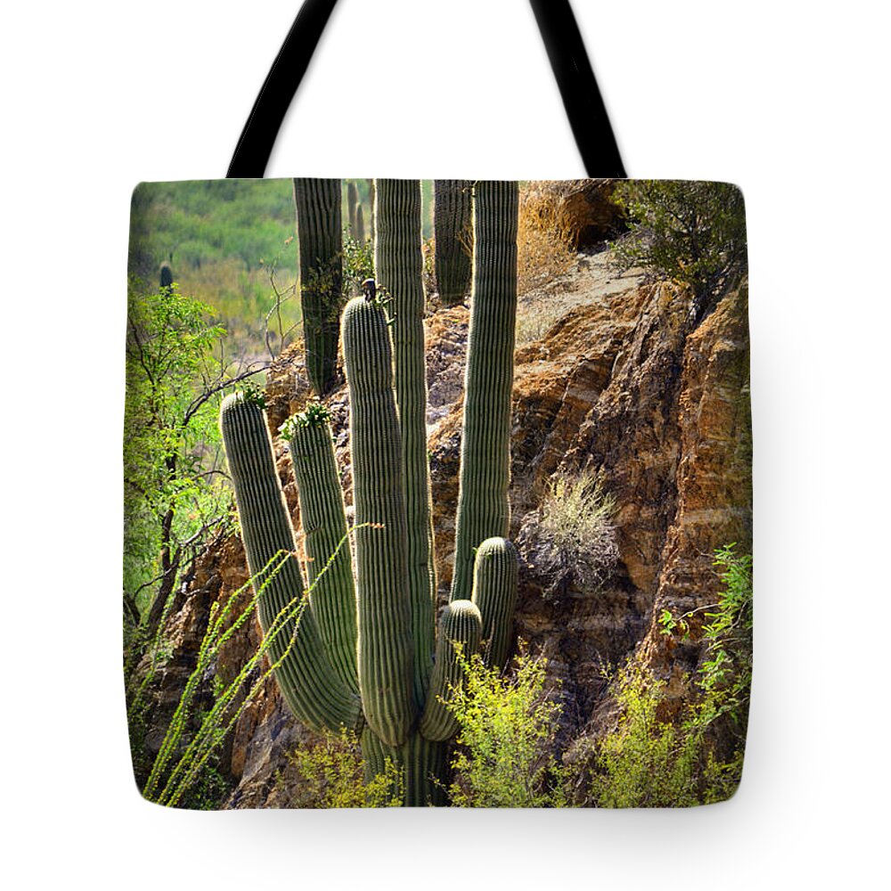 Nature Tote Bag featuring the photograph Sonoran Desert Dweller by Deb Halloran