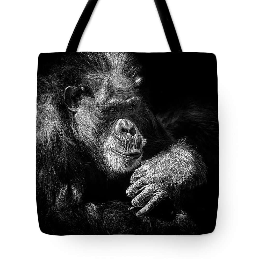 Crystal Yingling Tote Bag featuring the photograph Sooooo by Ghostwinds Photography
