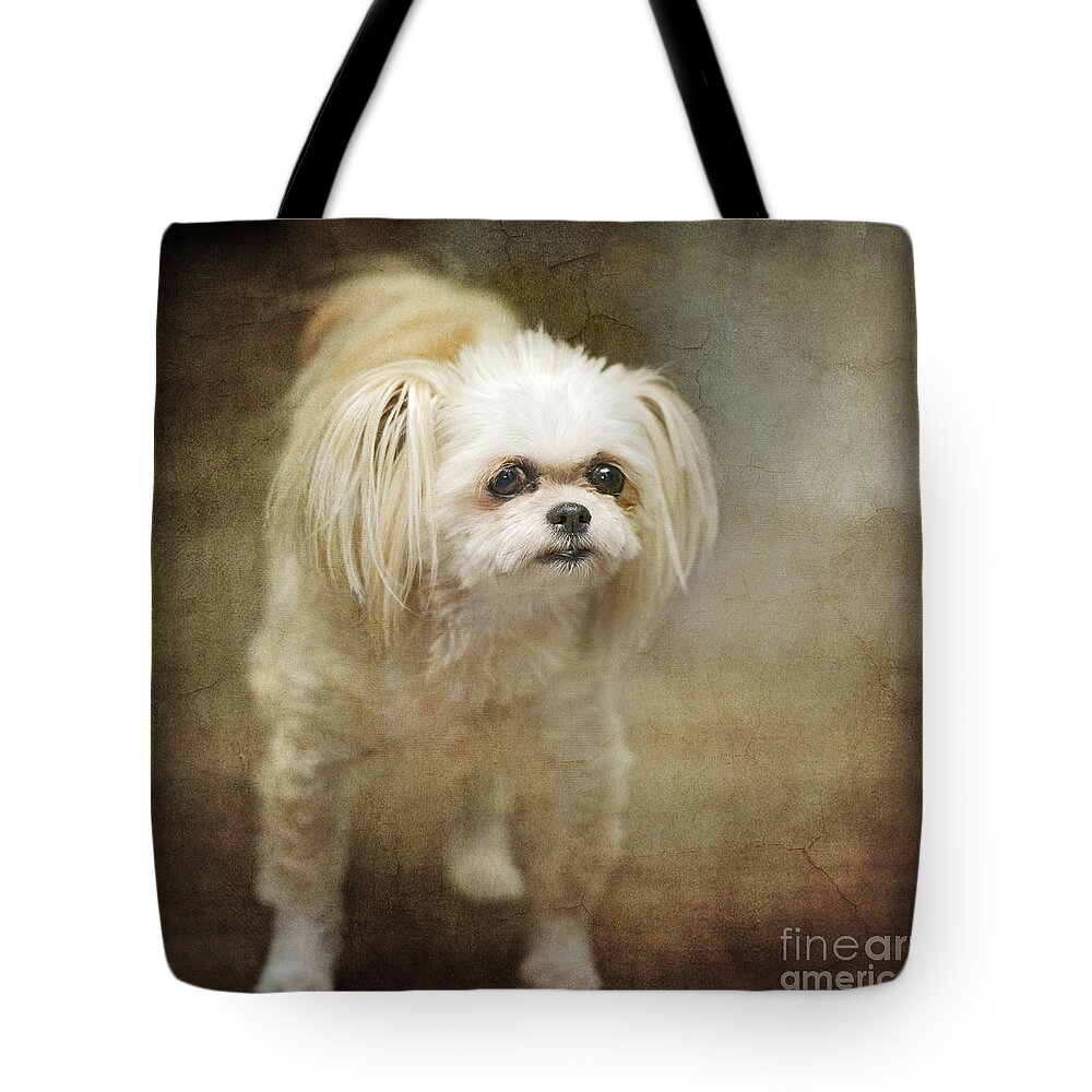 Festblues Tote Bag featuring the photograph Sophie... by Nina Stavlund