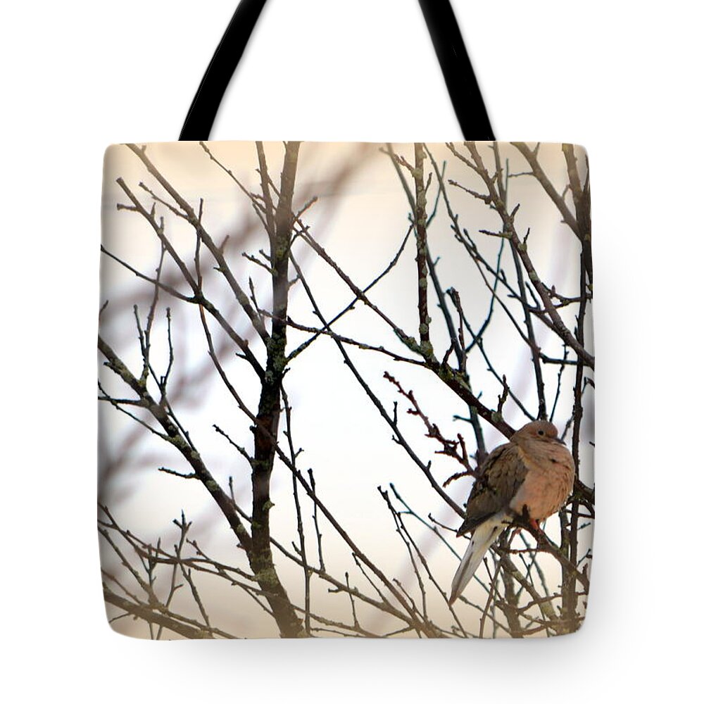  Tote Bag featuring the photograph Soul Mate by Kimberly Woyak