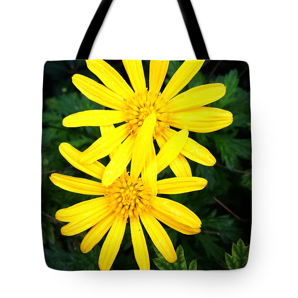 Macro Tote Bag featuring the photograph Soul Mates by Nathan Little