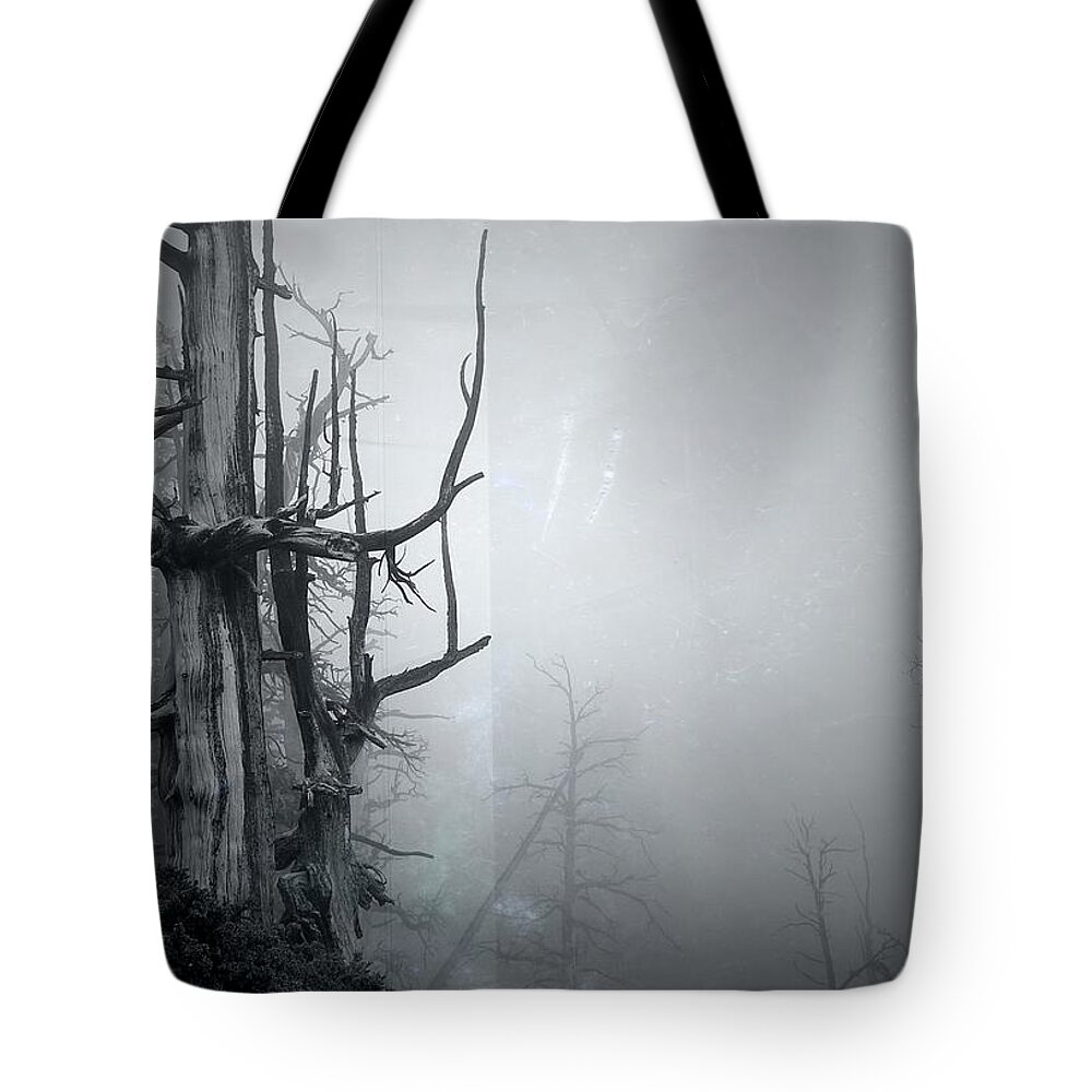 Trees Tote Bag featuring the photograph Souls by Mark Ross