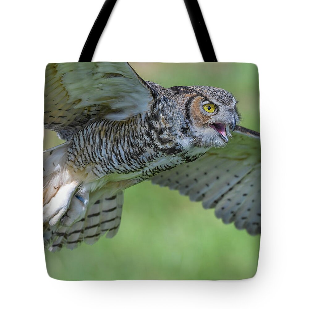 Ontario Tote Bag featuring the photograph Sounding out by Ian Sempowski