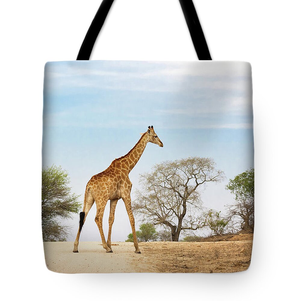Giraffe Tote Bag featuring the photograph South African giraffe by Jane Rix