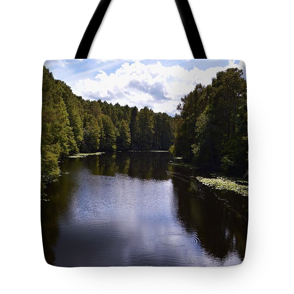 South Bound Tote Bag featuring the photograph South Bound by Warren Thompson