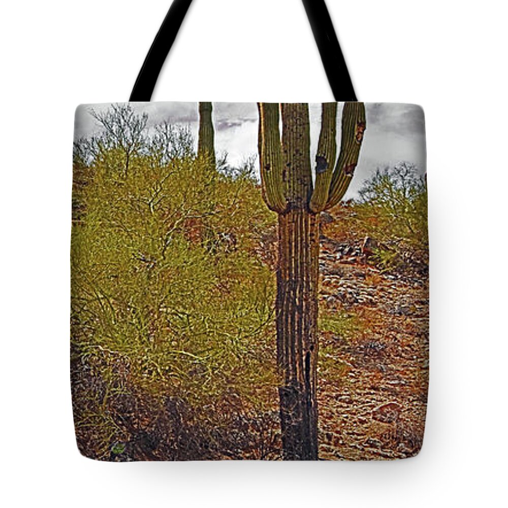 Phoenix South Mountain Tote Bag featuring the photograph South Mountain6 by George Arthur Lareau