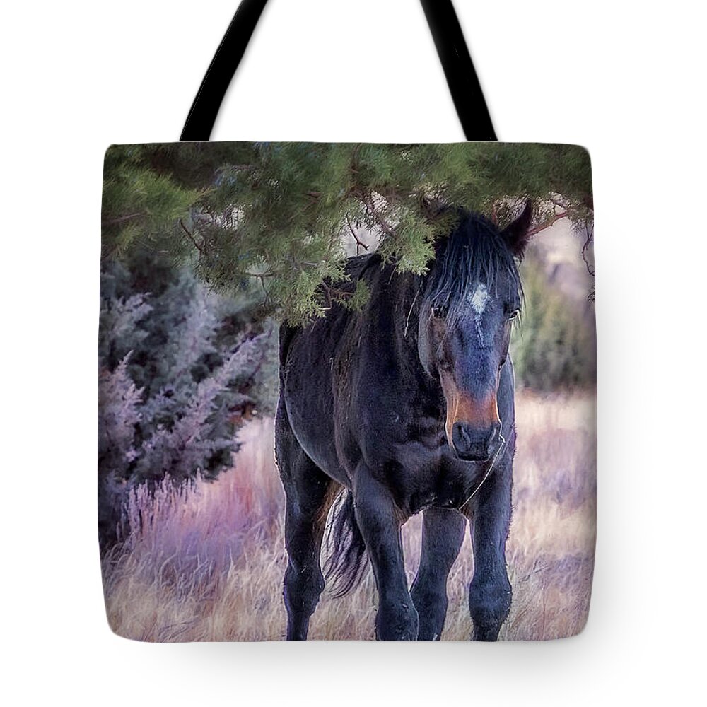 Wild Stallion Tote Bag featuring the photograph South Steens Band Stallion Approaches by Belinda Greb