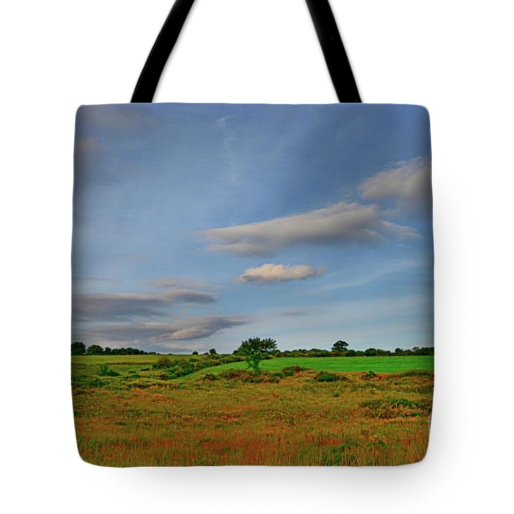 Landscape Tote Bag featuring the photograph Southbury by Dani McEvoy