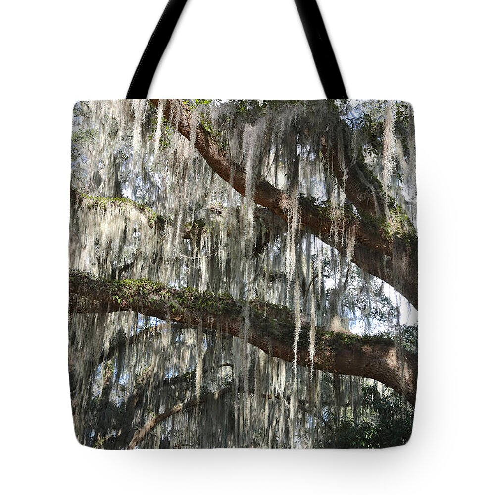 Spanish Moss Tote Bag featuring the photograph Southern Lace by Carol Groenen