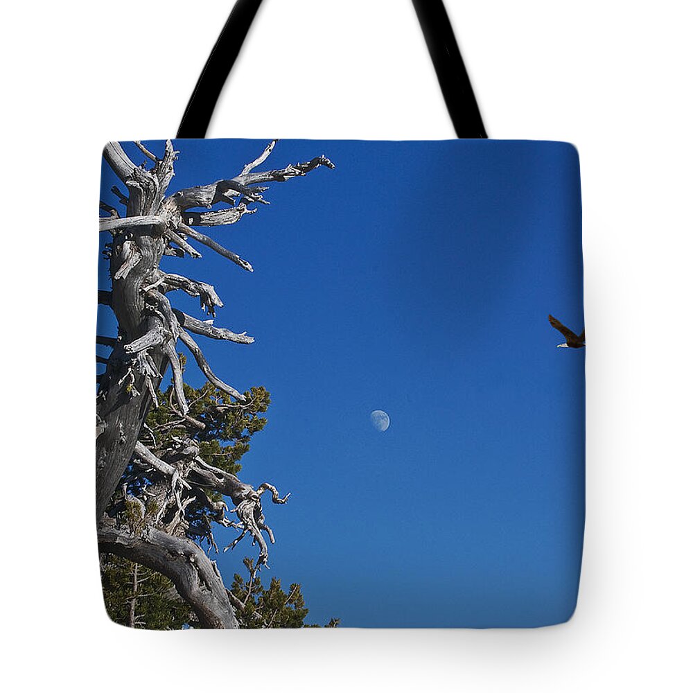 Raptor Tote Bag featuring the digital art Southern Oregon Skies by John Christopher