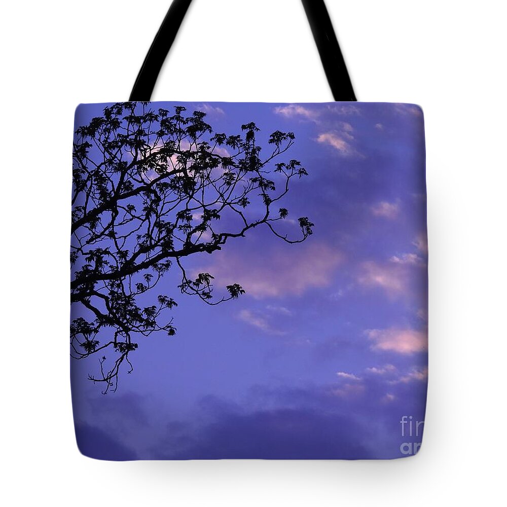 Clouds Tote Bag featuring the photograph Southern Sky At Dusk by Jan Gelders