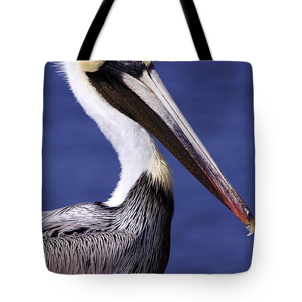 Southport Tote Bag featuring the photograph Southport Pelican 2 by Nick Noble