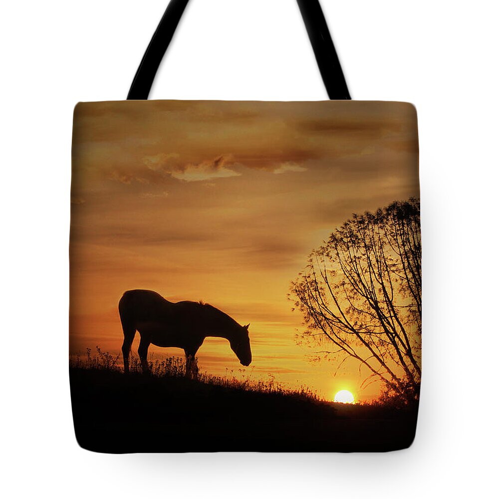 Horse Tote Bag featuring the photograph Southwestern Horse Sunset by Stephanie Laird