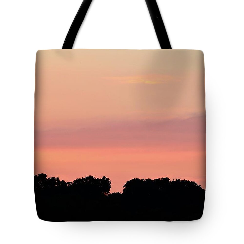 Abstract Tote Bag featuring the photograph Space In The Trees by Lyle Crump
