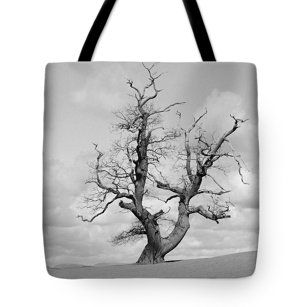 Wonkytree Tote Bag featuring the photograph Space tree by Lukasz Ryszka