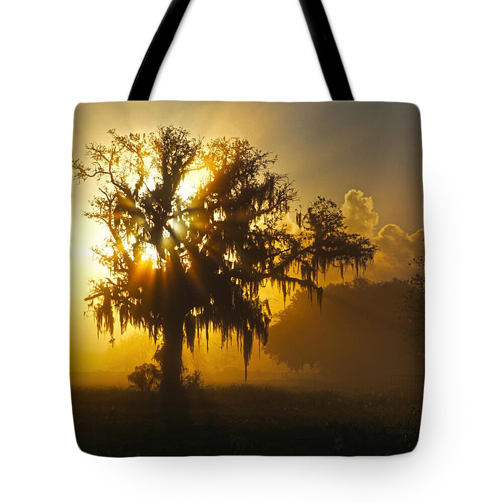 Spanish Tote Bag featuring the photograph Spanish Morning by Robert Och