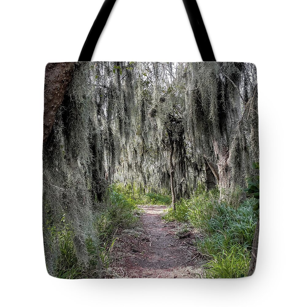 Debra Martz Tote Bag featuring the photograph Spanish Moss Draped Trail by Debra Martz
