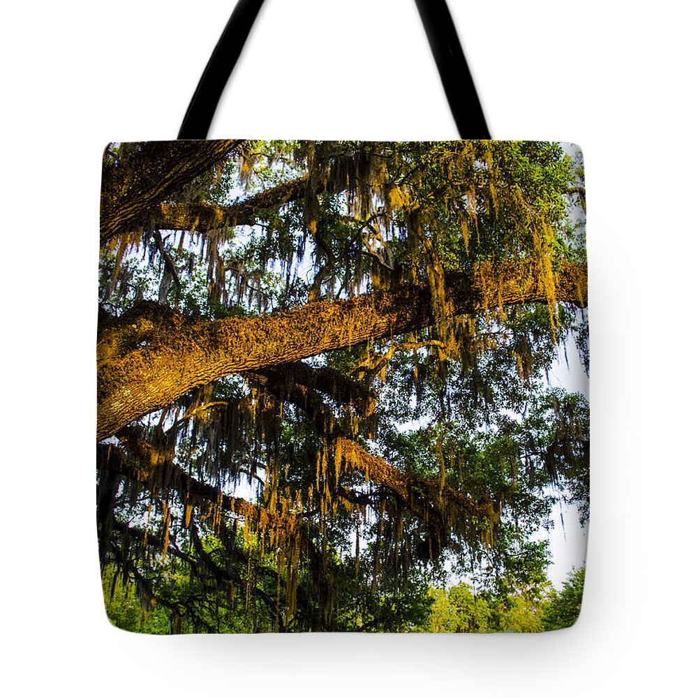 Spanish Moss Tote Bag featuring the photograph Spanish Moss in the Gloaming by Deborah Smolinske