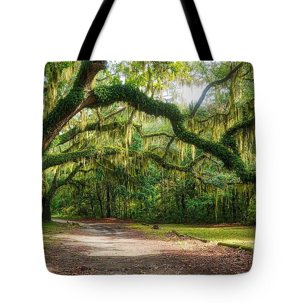 Spanish Moss Tote Bag featuring the photograph Spanish Moss by Mel Steinhauer