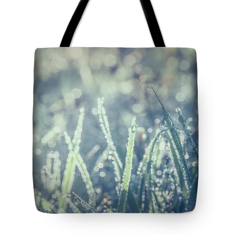 Sparkles Tote Bag featuring the photograph Sparklets by Gene Garnace