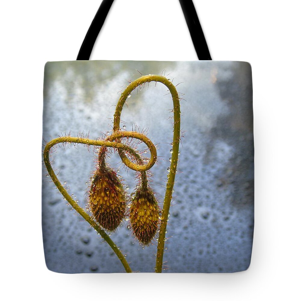 Poppy Tote Bag featuring the photograph Sparkling Knotted Poppy Pod by Barbara St Jean