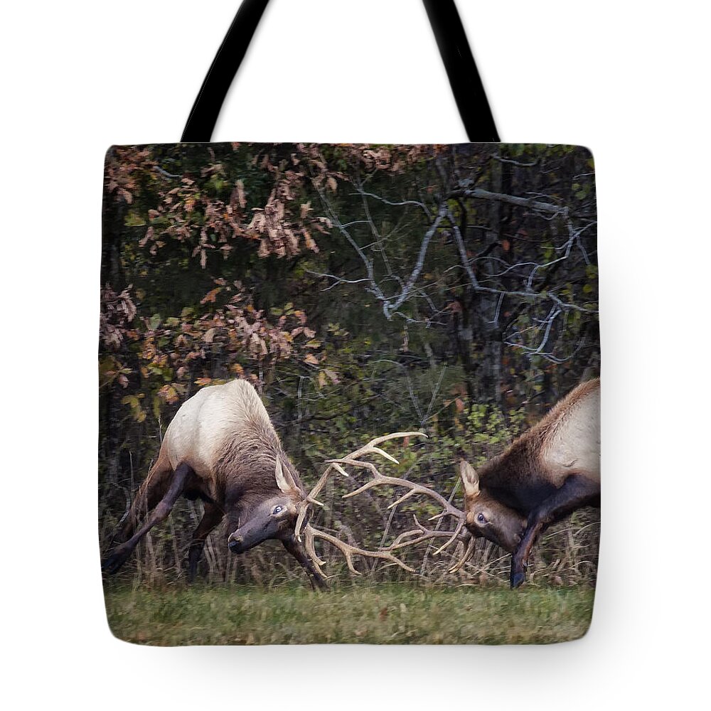 Sparring Elk Tote Bag featuring the photograph Sparring Bachelor Bulls in Boxley Valley by Michael Dougherty